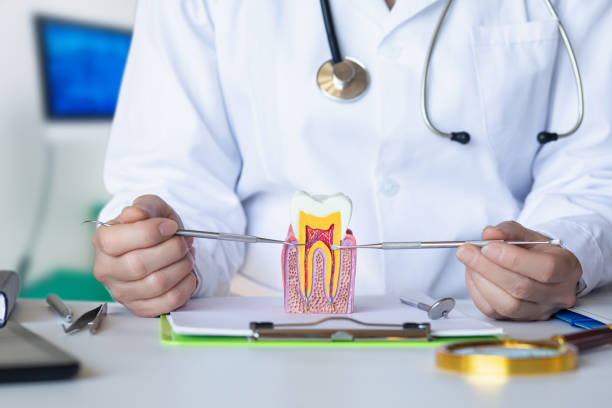 Best Urgent Dental Care for Toothache in Saline, MI